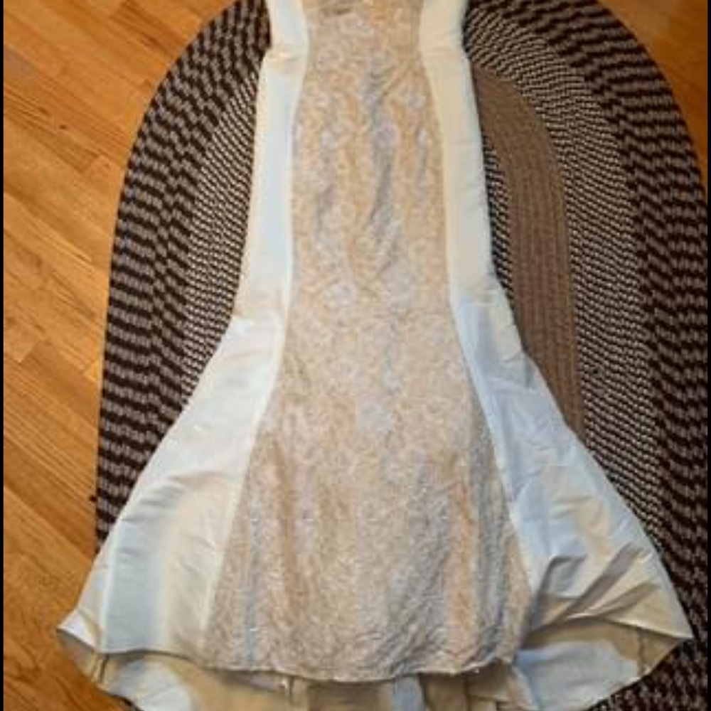 Prom/Ball/Wedding Jovani Dress and Shoes - Picture 2 of 3